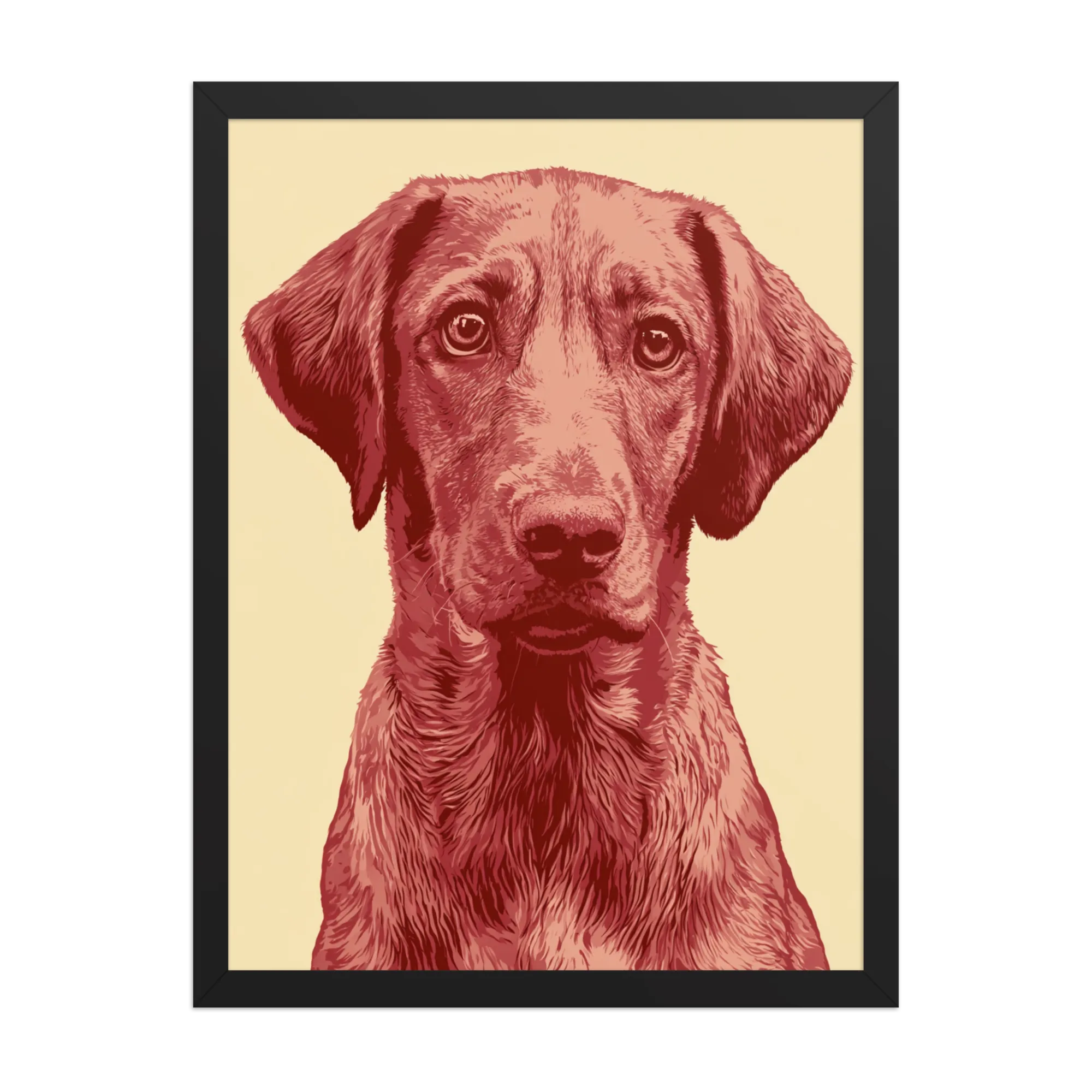 Pet Portrait