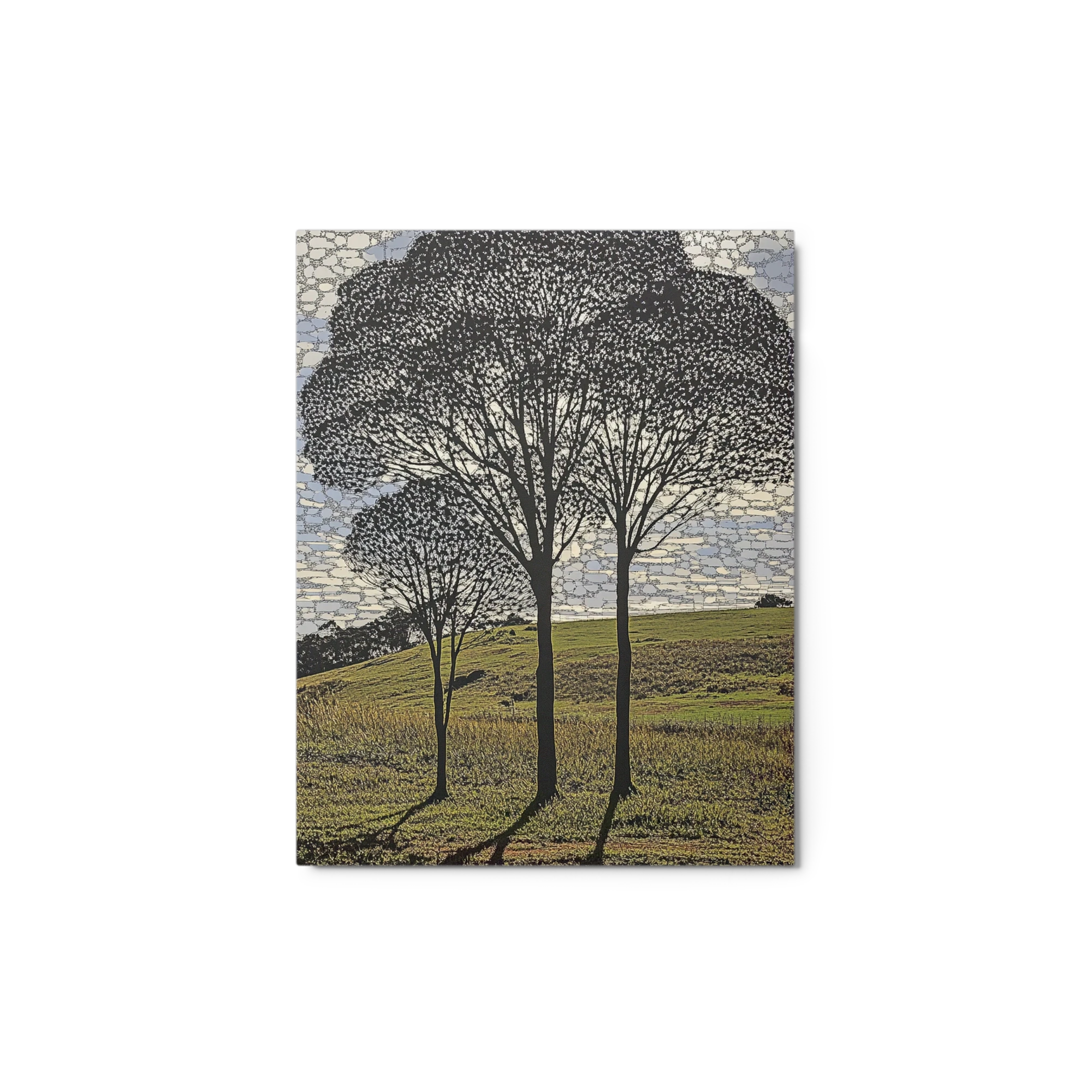 Silhouette of Trees on Landscape