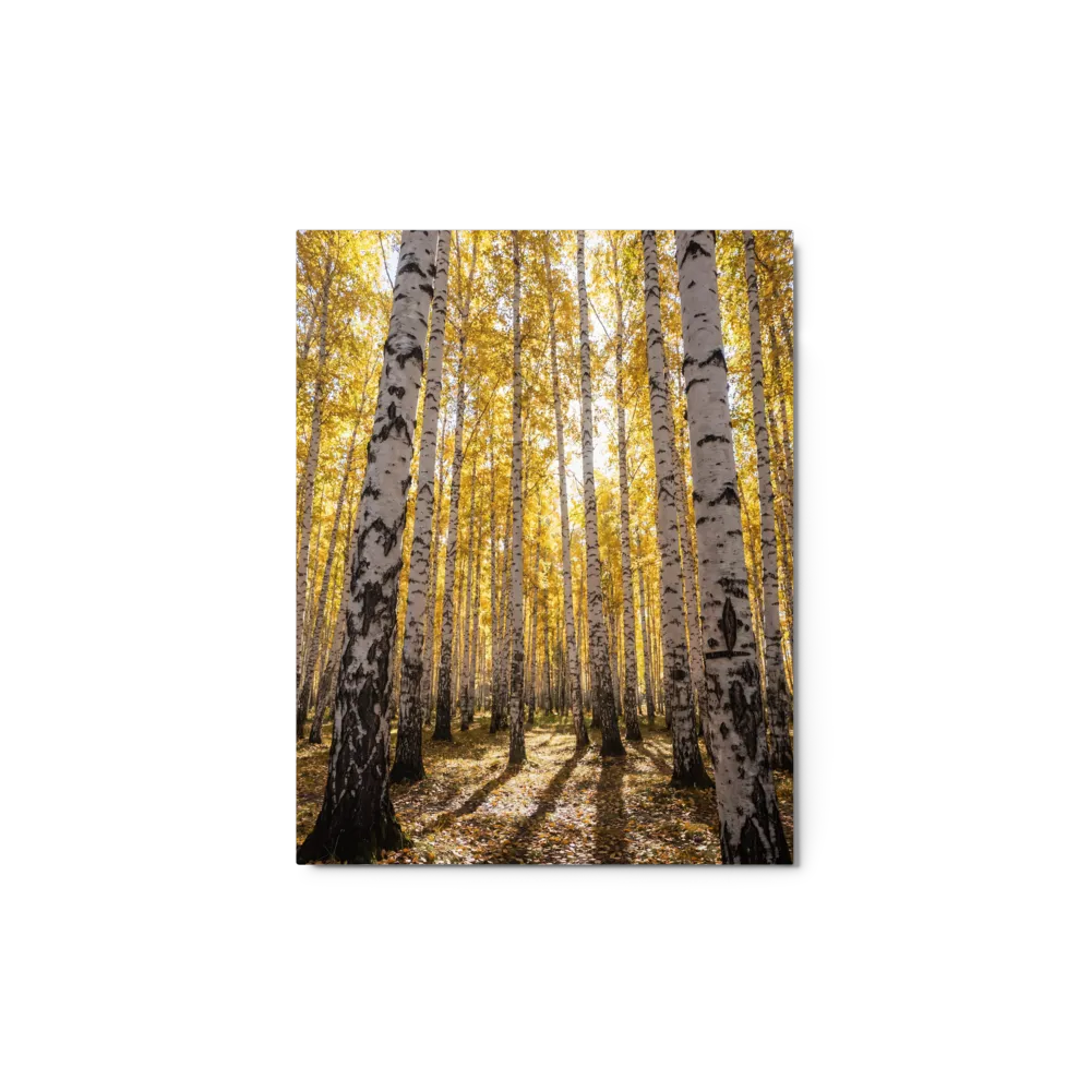 Golden Birch Grove in Autumn 
 Canvas with White Frame