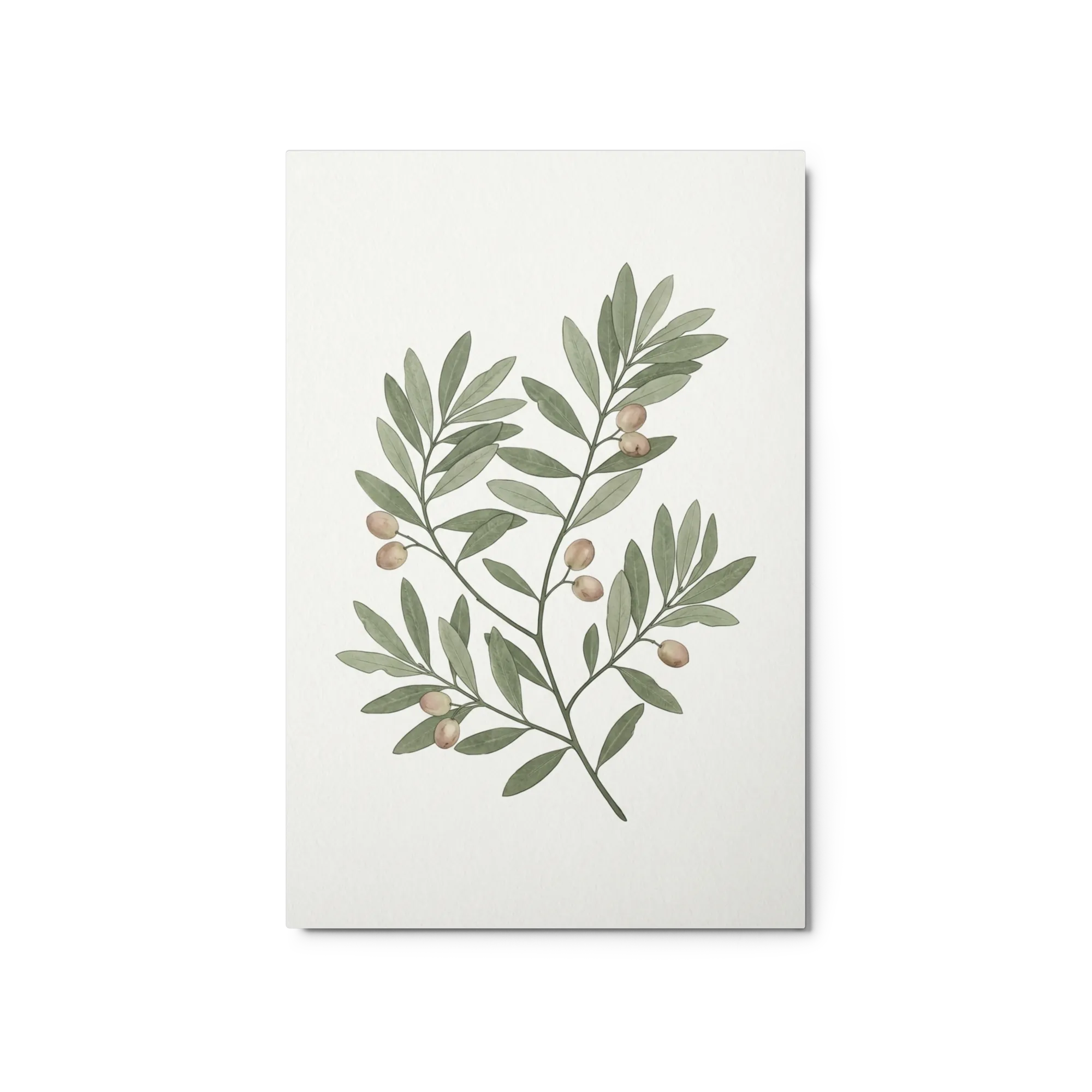 Olive Branch Botanical