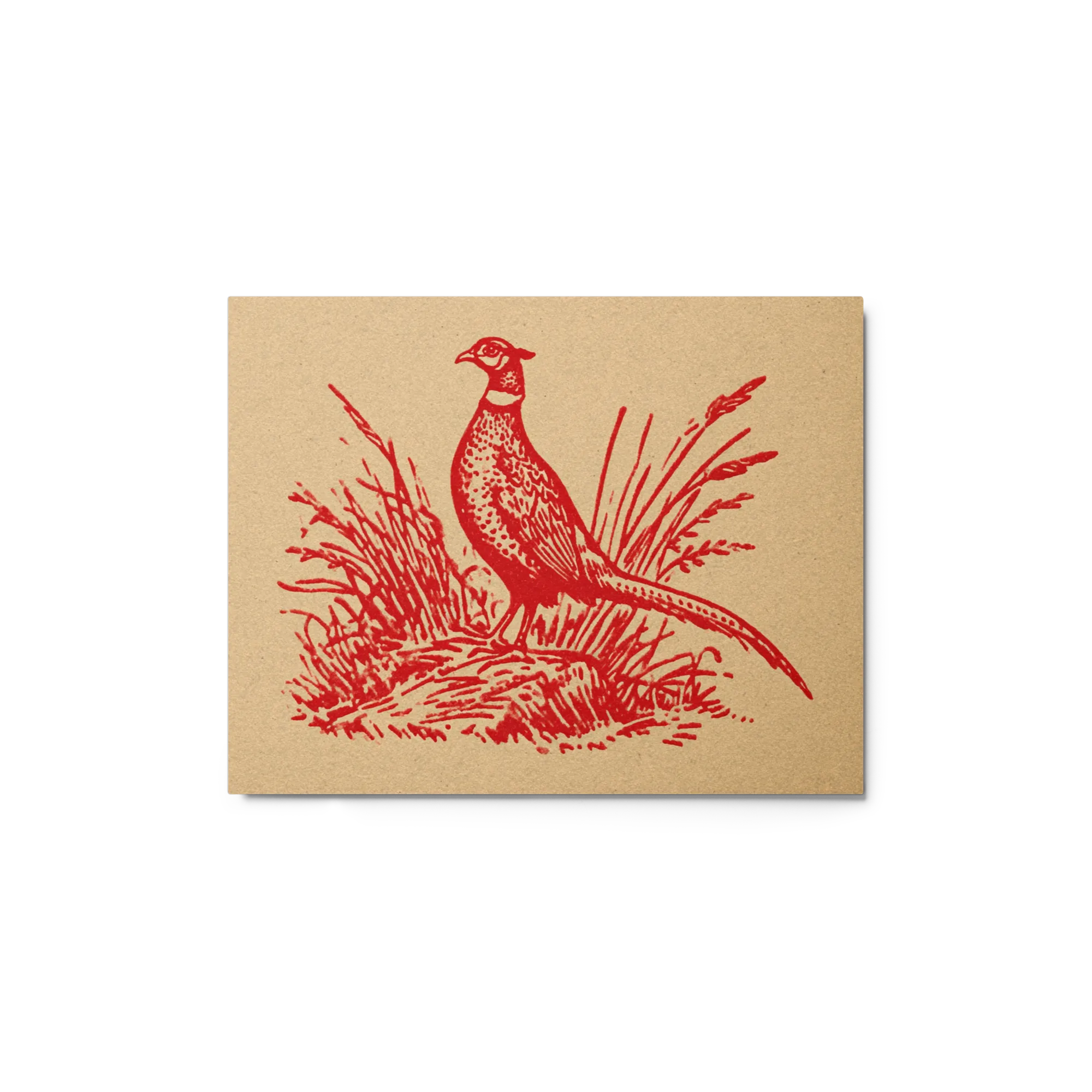 Red Pheasant in Grass