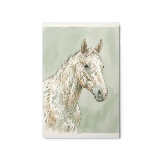 Appaloosa in Watercolor | Art Print