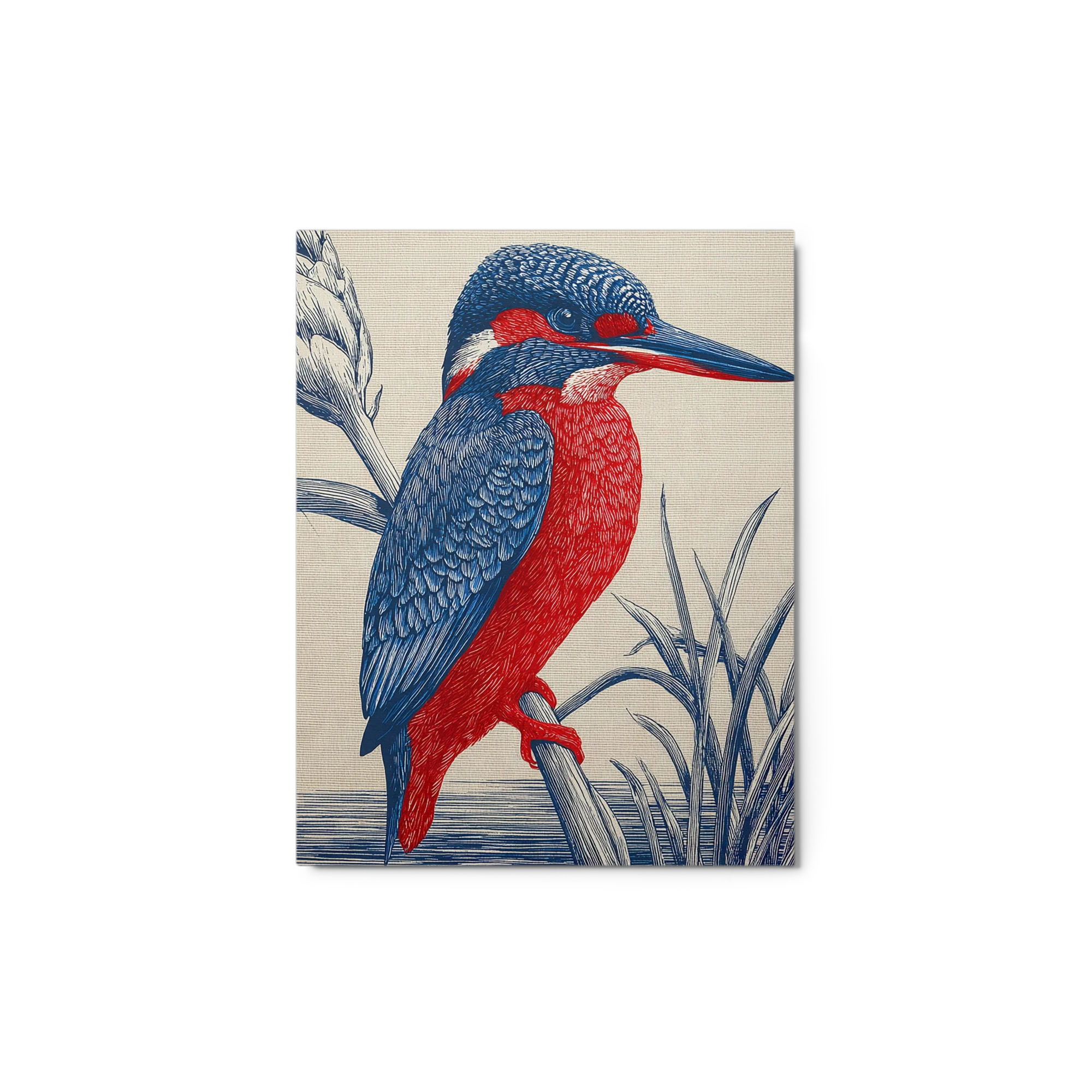 Red and Blue Kingfisher