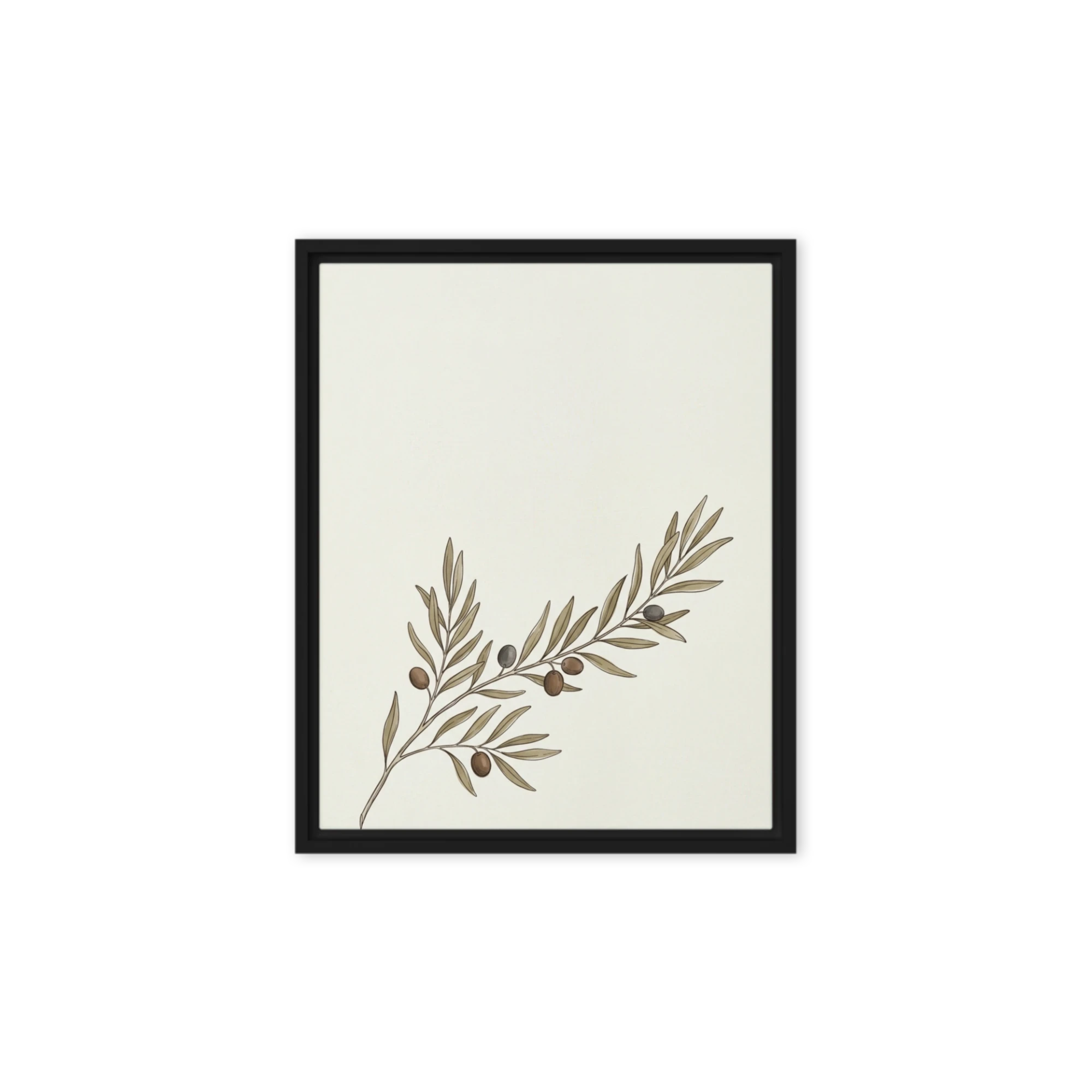 Mediterranean Olive Branch