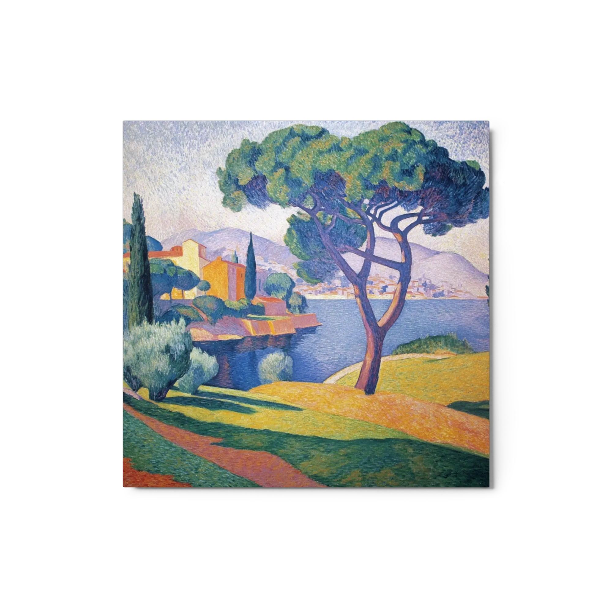 The Pine Tree at Saint-Tropez