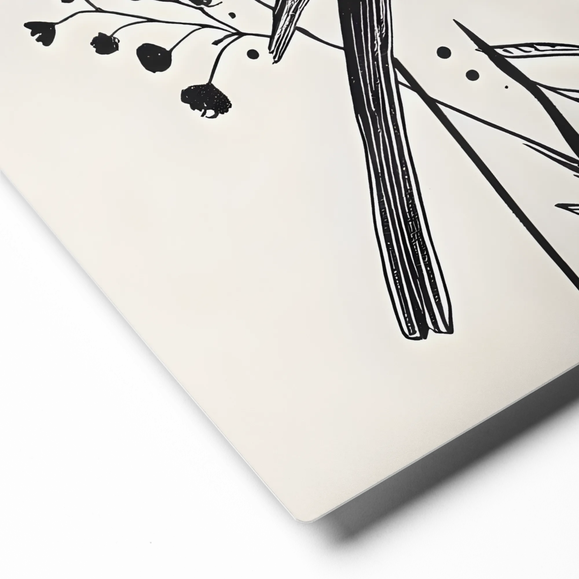 Perched Songbird Illustration 
 Canvas | 8″x 8″