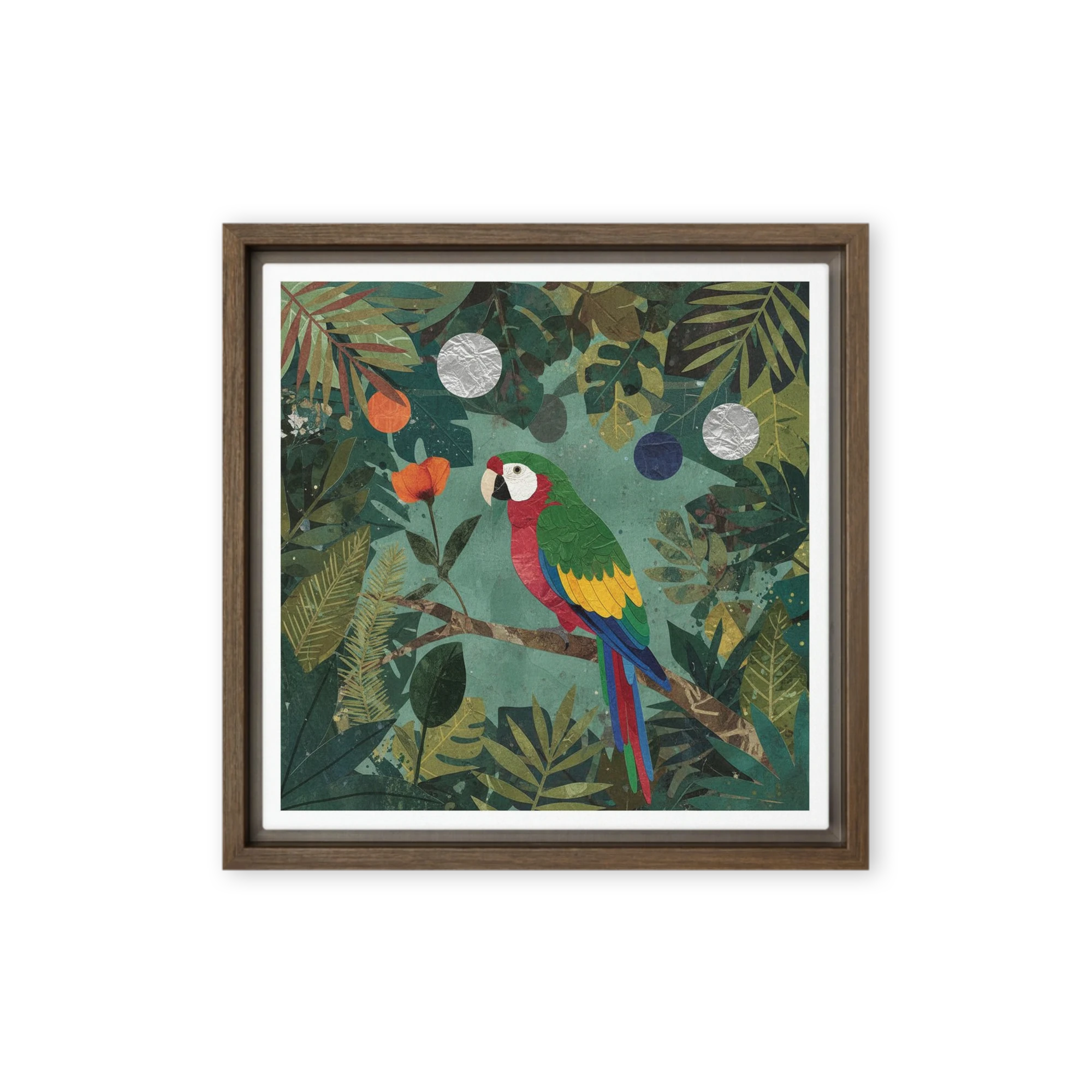 Canopy Parrot