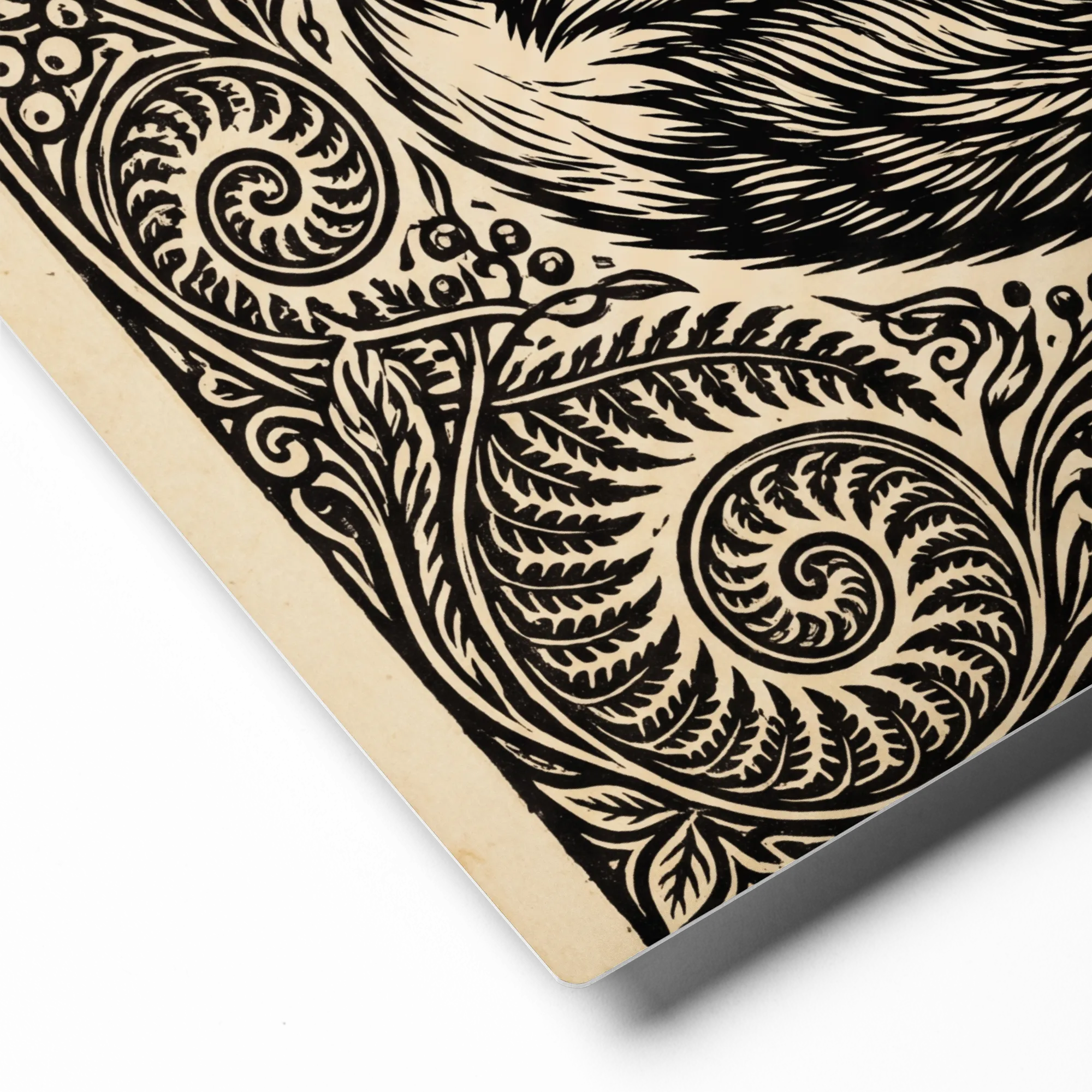Sleeping Fox Engraving 
 Canvas | 28″x 28″