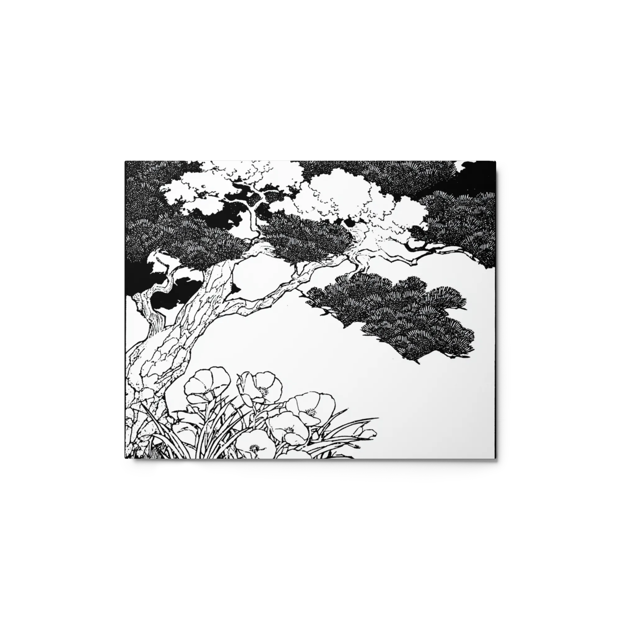 Pine and Peonies
