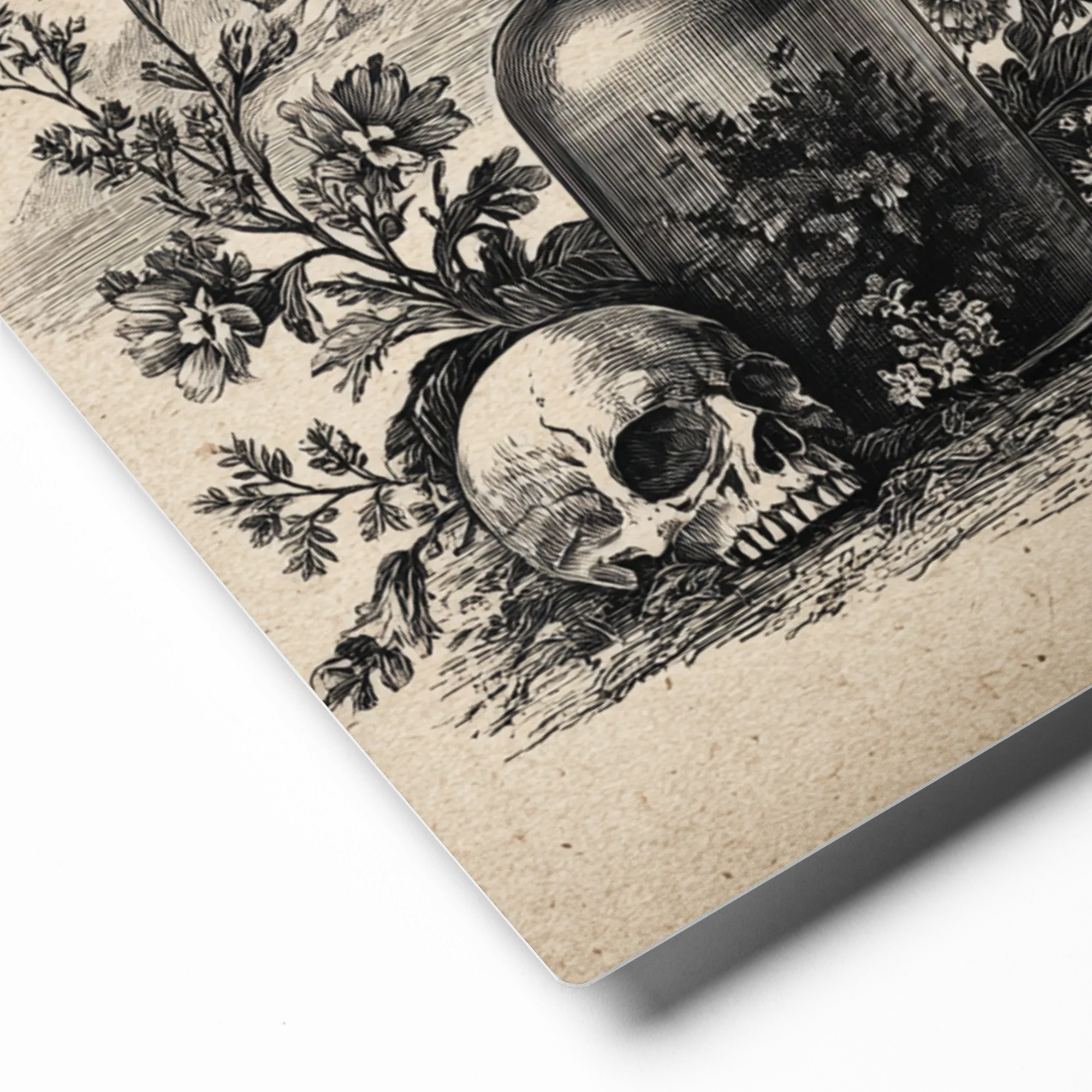 Memento Mori Apothecary 
 Canvas with Black Frame