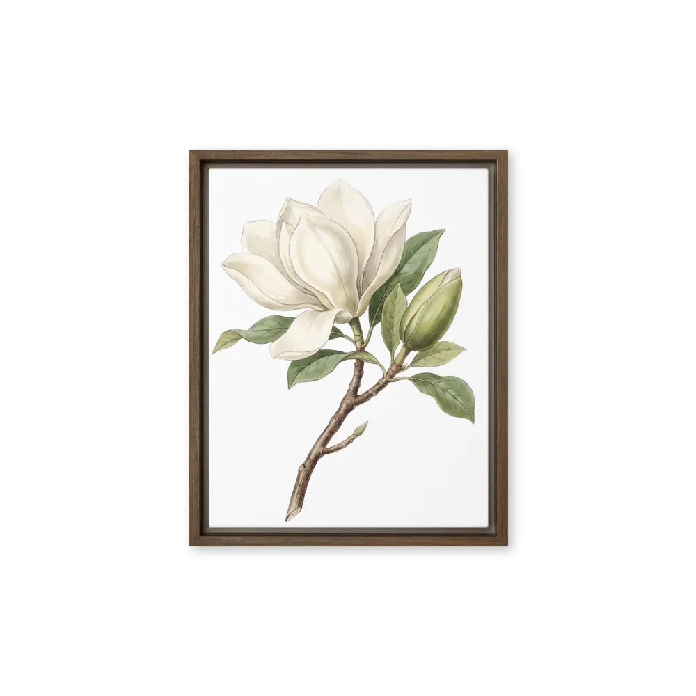 White Magnolia 
 Canvas with White Frame