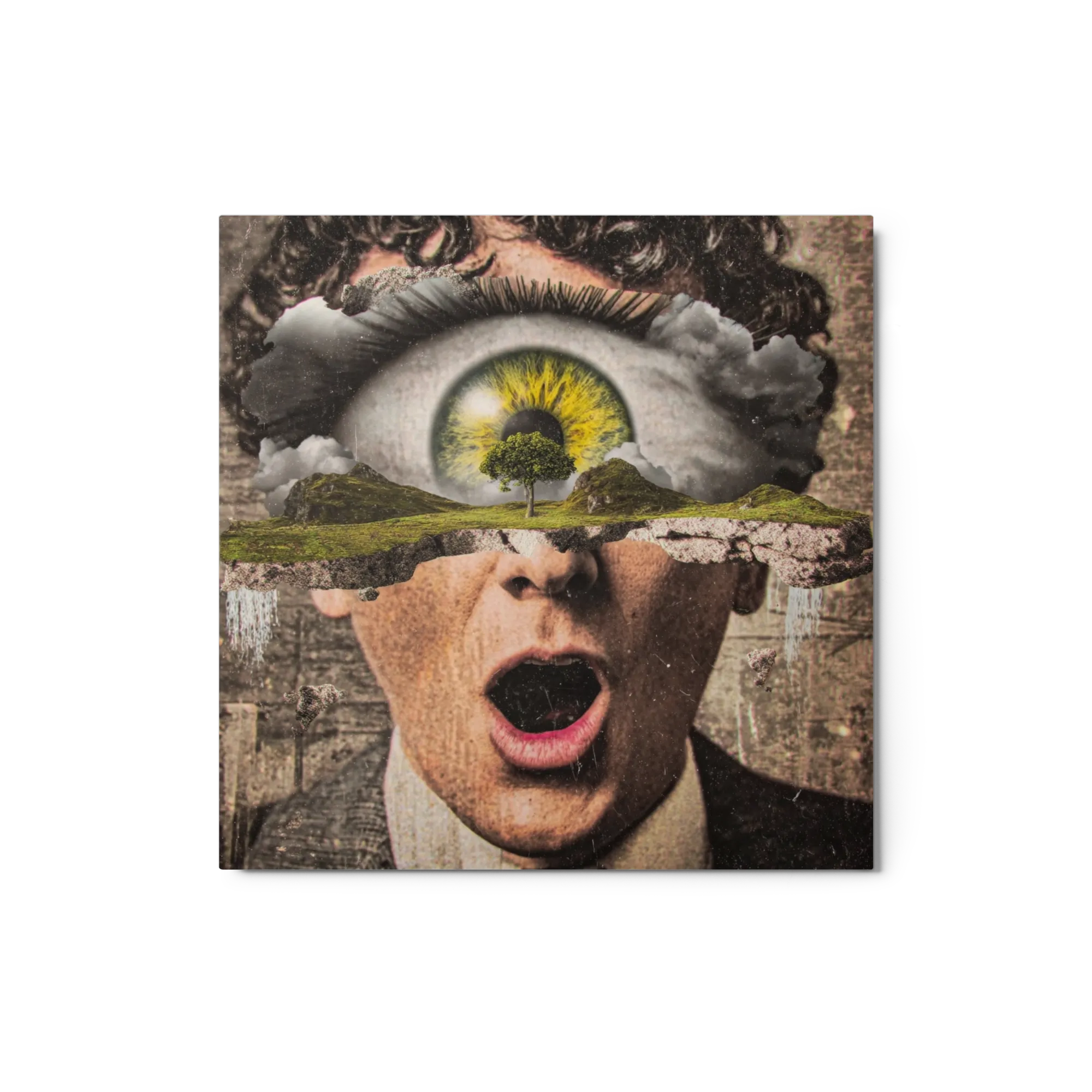 Vision of the Mind