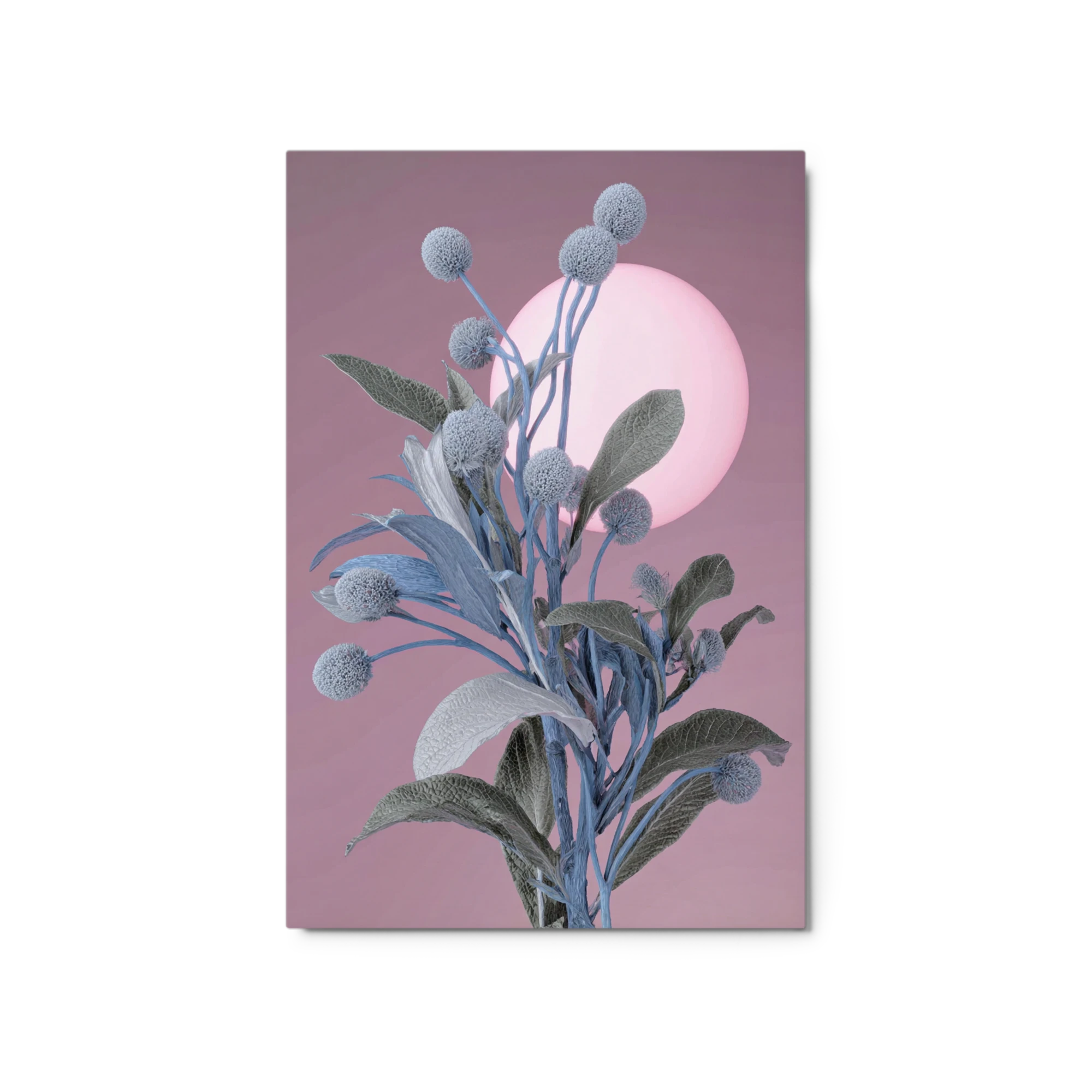 Surreal Botanical Night