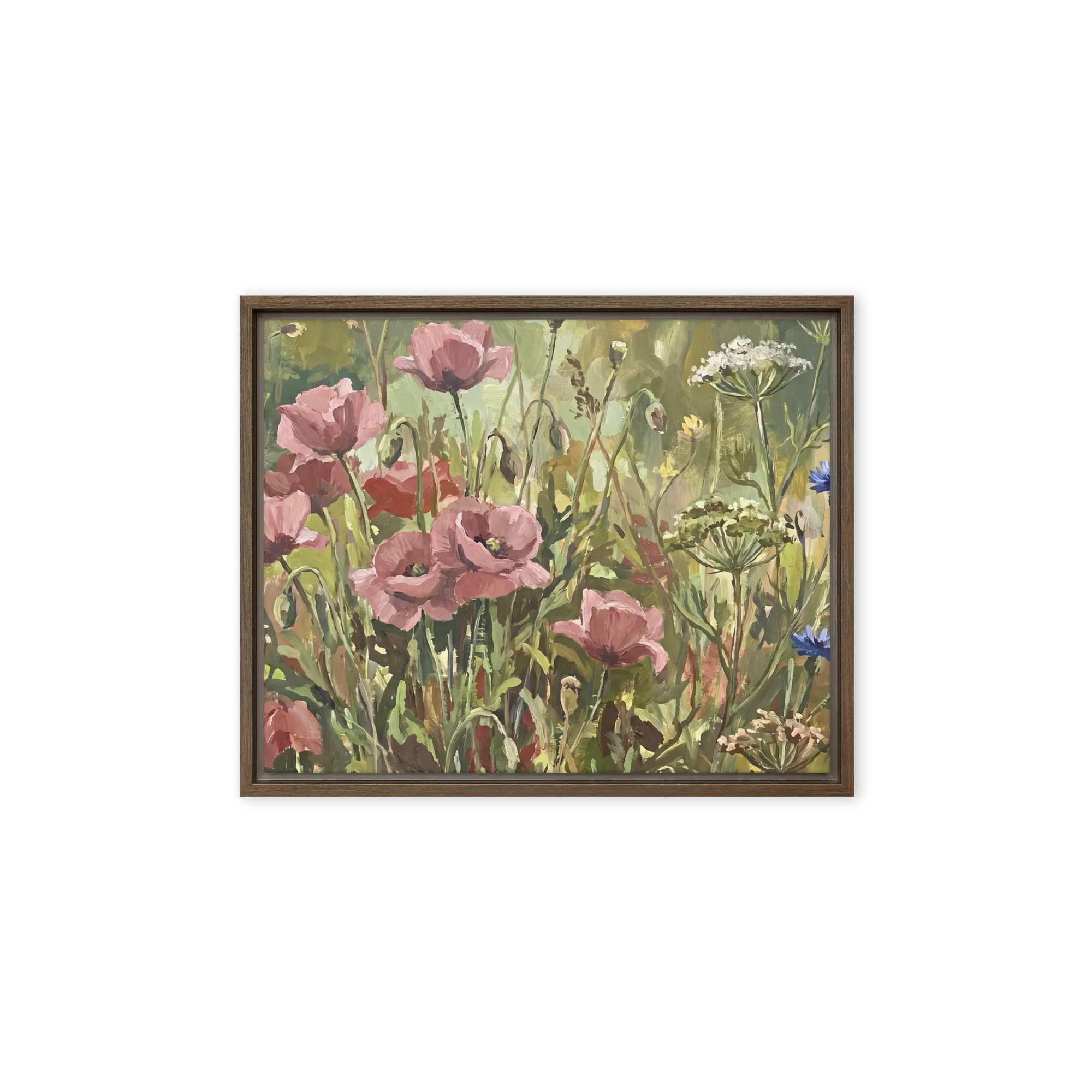 Poppy Meadow in Bloom