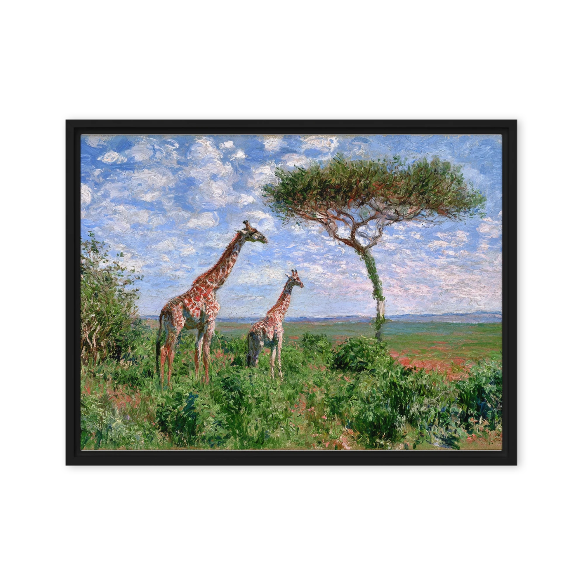 Giraffes on the Savanna