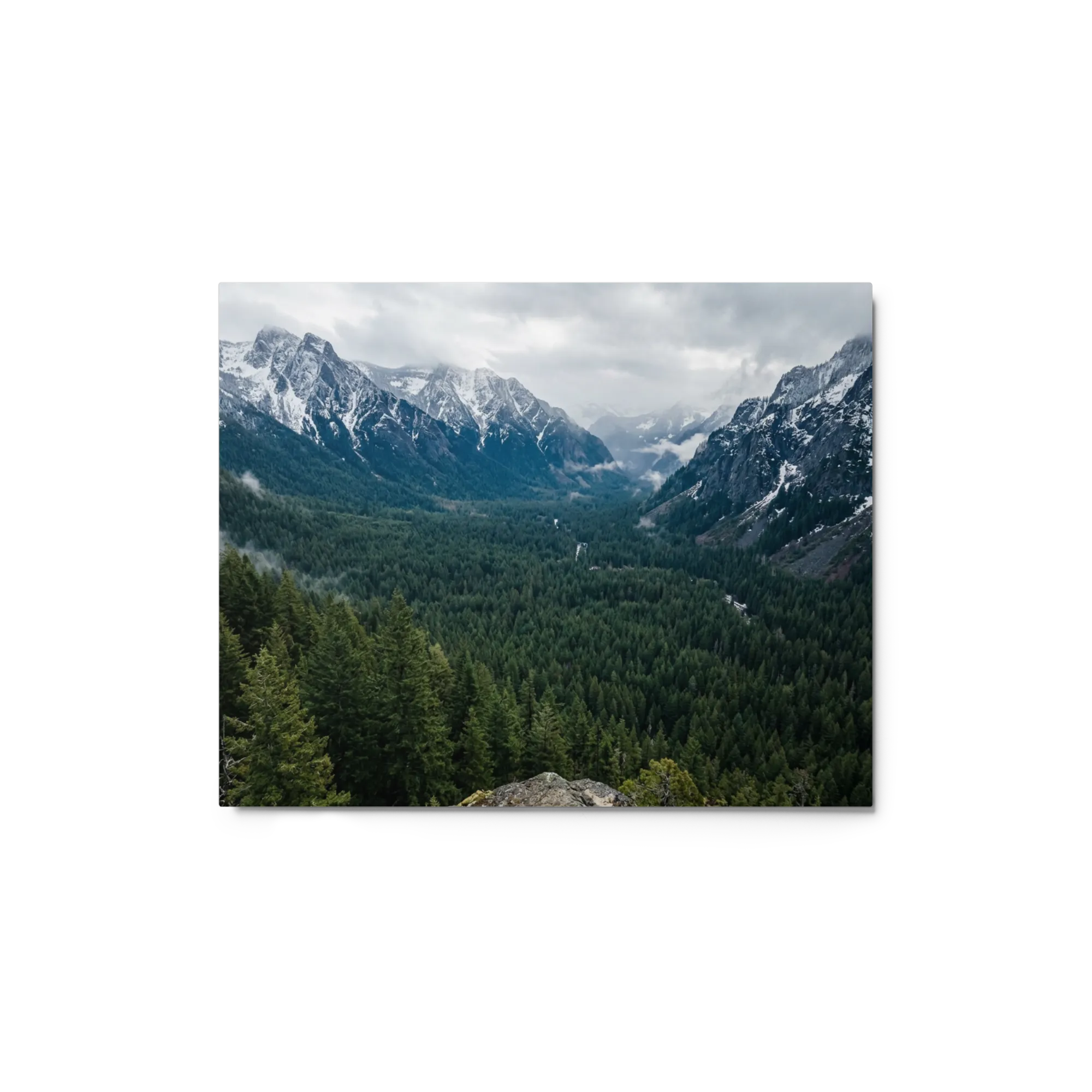 Alpine Forest Valley