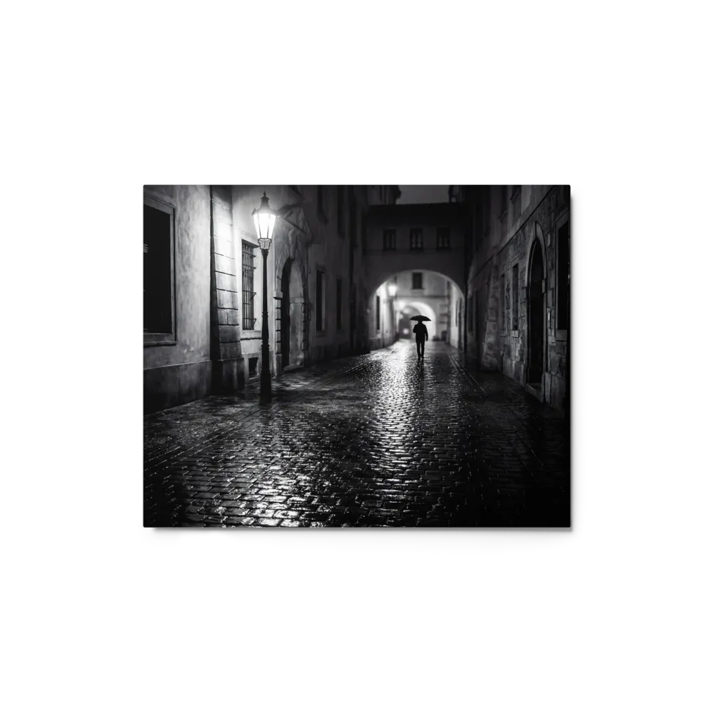 Solitary Stroll 
 Poster with Black Frame | 20″x 30″