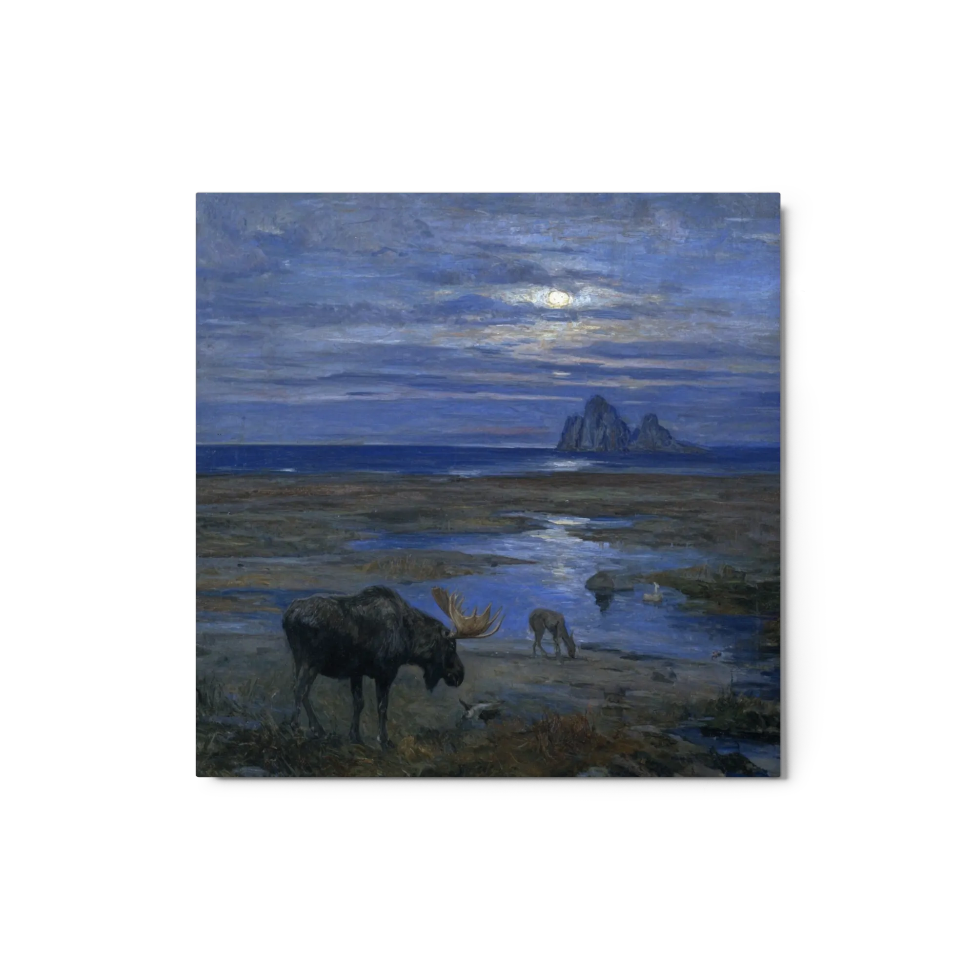 Moose in Moonlit Landscape