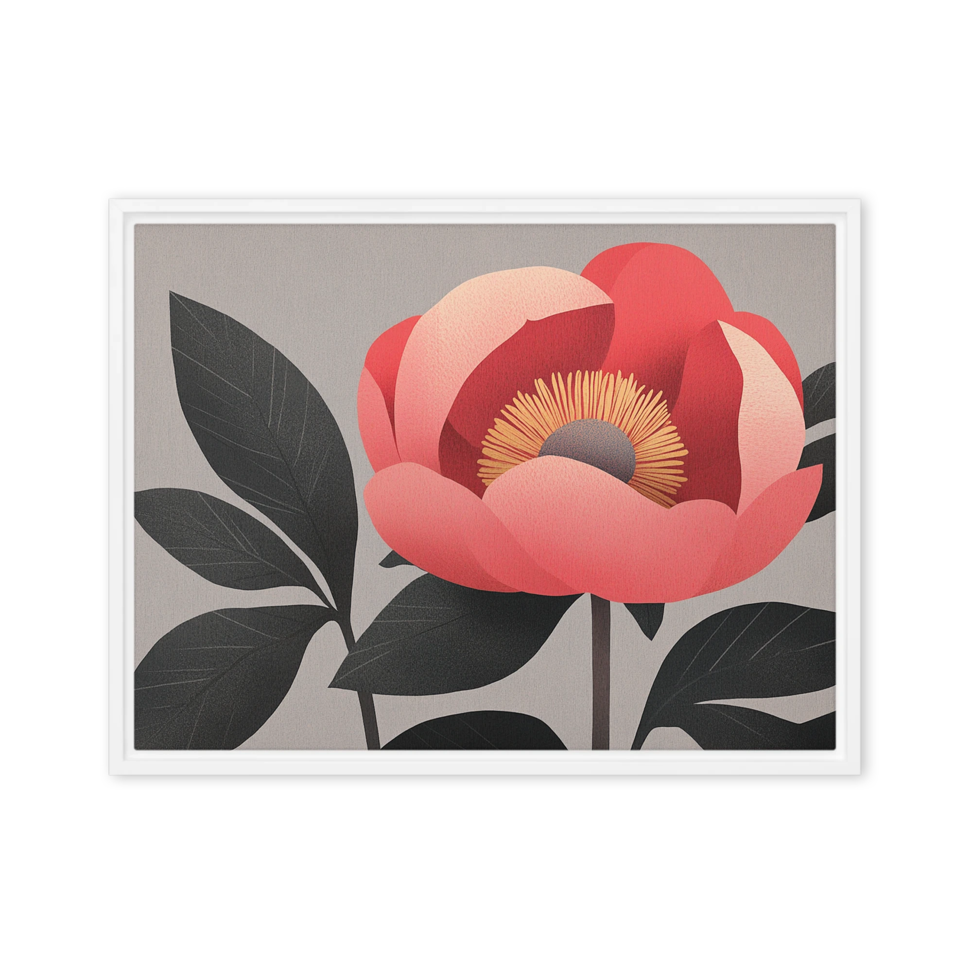 Coral Peony