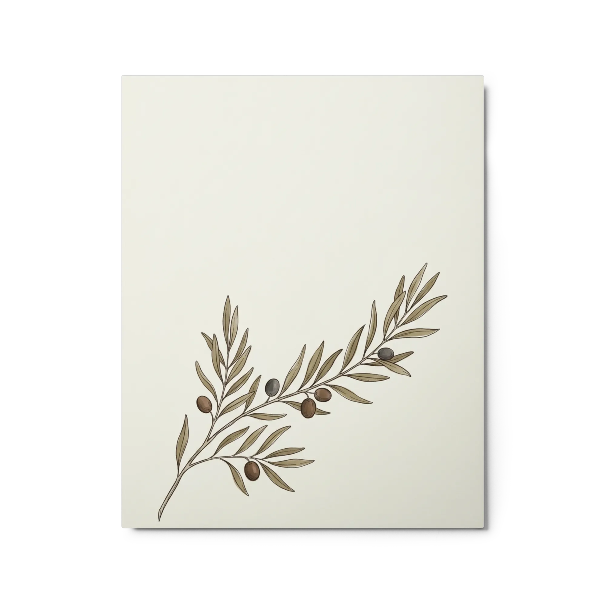 Mediterraner Olivenzweig