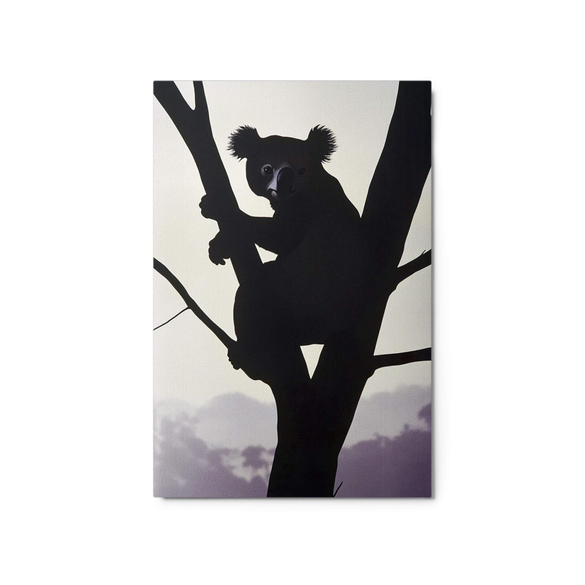 Silhouetted Koala